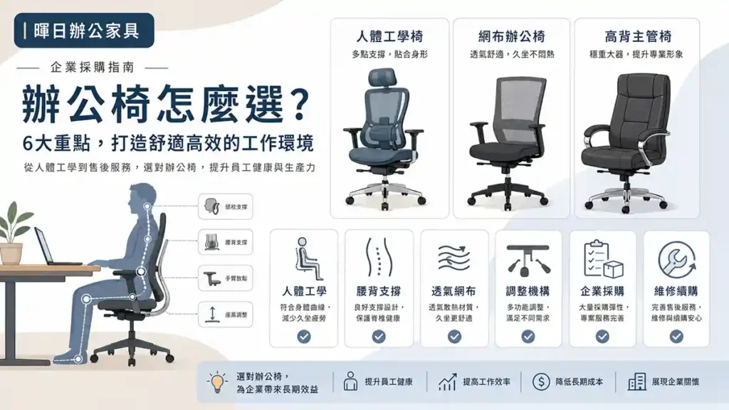 辦公椅選購指南資訊圖，說明人體工學椅、網布辦公椅、高背主管椅與企業採購重點